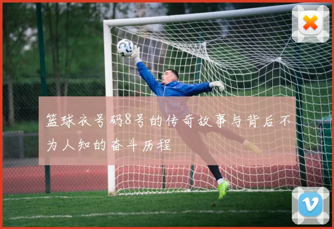篮球衣号码8号的传奇故事与背后不为人知的奋斗历程