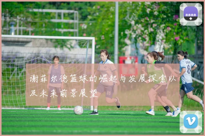 谢菲尔德篮球的崛起与发展探索以及未来前景展望