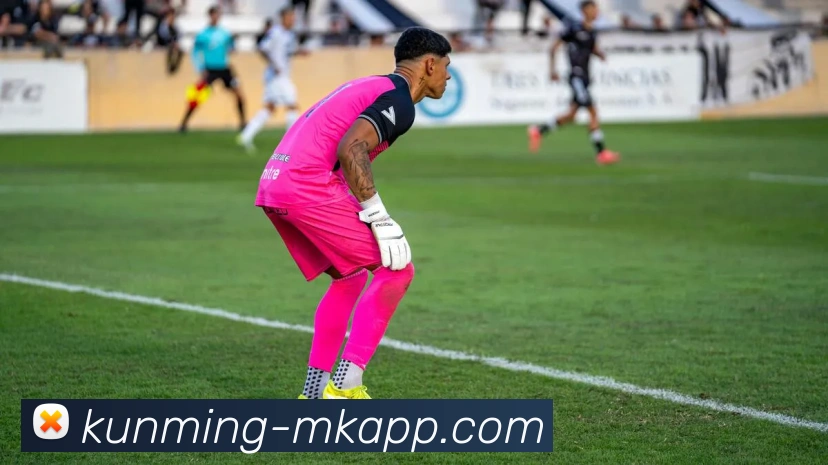 MK体育品牌故事