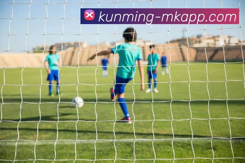 MK体育服务体系