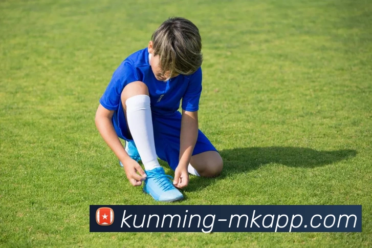 MK体育APP 封面图